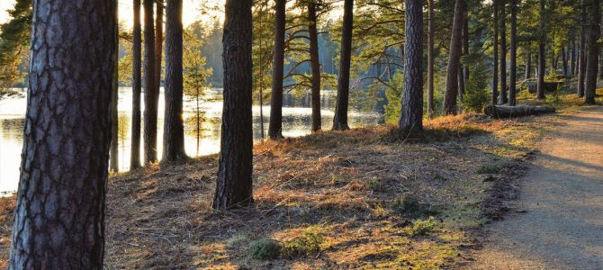 Flytta ut mot Värmdö Flytta ut mot Värmdö