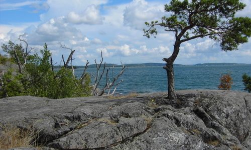 Värmdö – en vacker ö i Stockholms skärgård Värmdö – en vacker ö i Stockholms skärgård